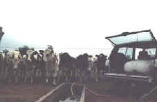 Transport d'eau potable